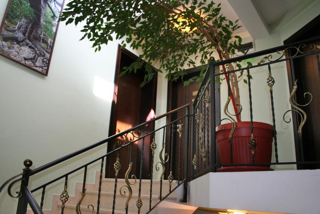 Family Hotel Zora ราซล็อก ภายนอก รูปภาพ